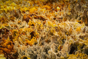 Close-up of chemical formations in Dallol in the Danakil depression, Ethiopia