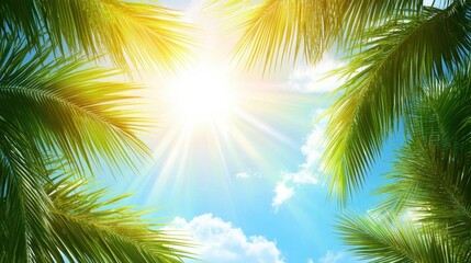 Fototapeta premium Tropical Paradise Bright Sun Shining Through Palm Tree Canopy Against a Blue Sky.
