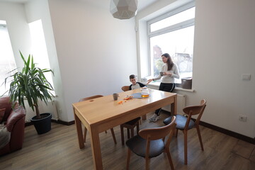 Mother and a boy spending time together playing indoors