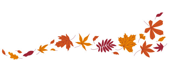 Various autumn leaves in the wind on white background. Wave of falling leaves. Hand drawn vector illustration.
