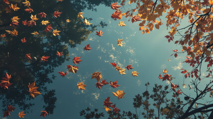 Autumn leaves reflected in calm water, viewed from below.  Perfect for seasonal designs.