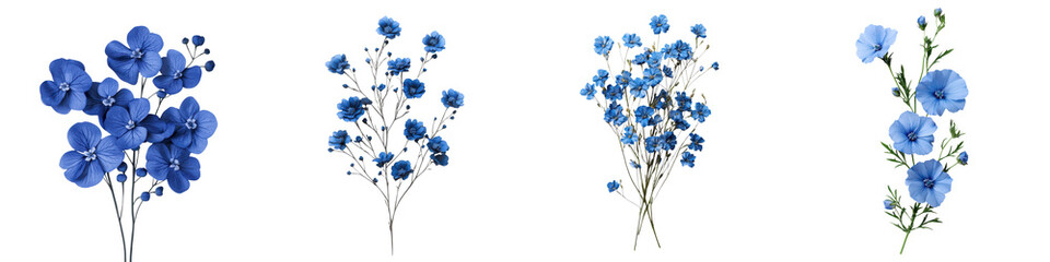 Vibrant blue flowers in a minimalist floral arrangement against a bright and clean background  The delicate petals and serene composition create a sense of elegance and natural beauty