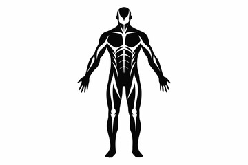 human body line art silhouette vector illustration