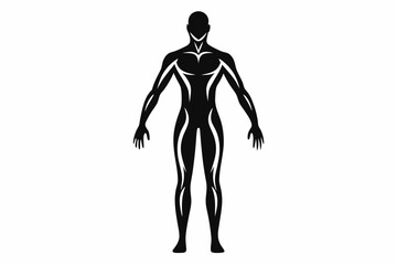 human body line art silhouette vector illustration