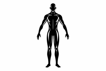 human body line art silhouette vector illustration