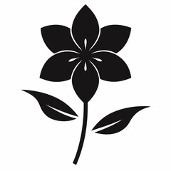 Malti flower vector Silhouette