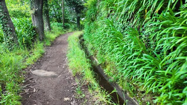 Footpath along irrigation channel called levada in Camacha city on Madeira Island, Portugal