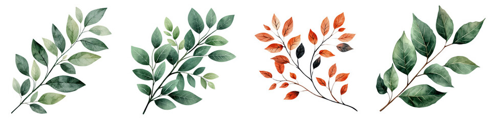 Colorful Autumn Foliage Branches with Vibrant Orange Red and Green Leaves for Seasonal Background and Ecological Concepts