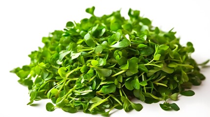 Obraz premium Brahmi Herb: Therapeutic Green Leaves