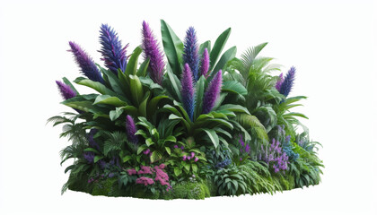Fototapeta premium Tropical trees, purple flowers with white fence, bushes, green shrubs, trees on white background.