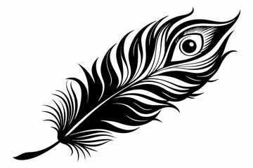 Obraz premium flying peacock feather line art silhouette vector illustration
