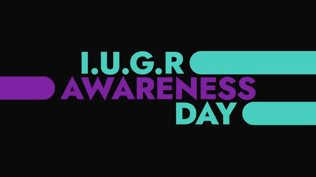 I.U.G.R Awareness Day colorful motion graphics seamless loopable text animation on white or black background great for celebrating awareness for world iugr awareness day
