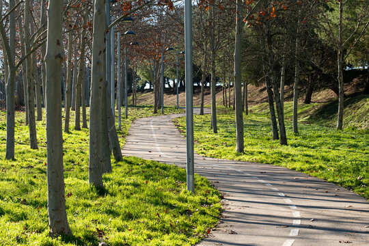 Curved bicycle path through a lush park in Sant Cugat del Vall&egrave;s, Spain. Urban planning integrating greenery, recreation, and sustainable mobility solutions.