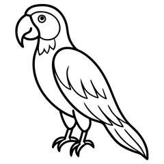 One-Line Macaw Vector Illustration