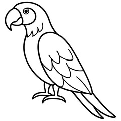 One-Line Macaw Vector Illustration