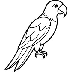 One-Line Macaw Vector Illustration