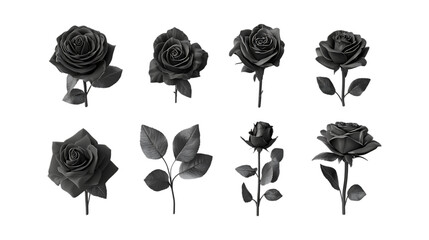 PNG Black Rose Set in Different Poses on Transparent Background for Gothic Aesthetics, Floral Design, or Romantic Illustration