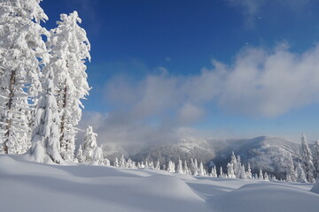 winter mountains with snow beautiful white and blue