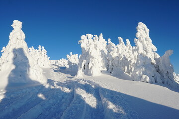 winter mountains with snow beautiful white and blue
