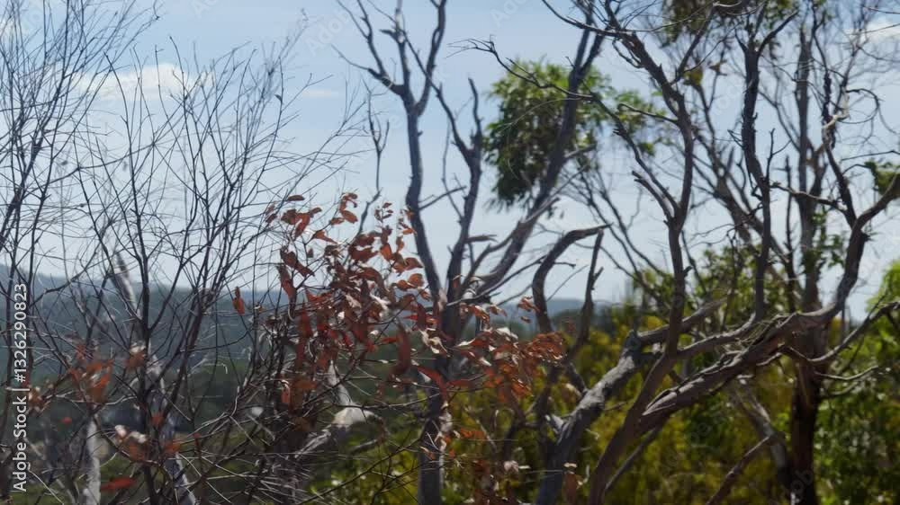 Aufkleber leaves on trees swaying gently in the wind, creating a calming motion against the backdrop of a clea
