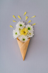 White and yellow flowers and petals in ice cream cone on grey background. Creative spring and summer concept. Flowers aesthetic. Flat lay style.