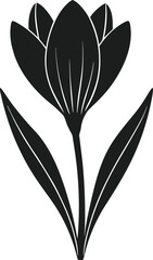 Elegant Crocus Flower Silhouette - Minimalist Spring Floral Vector Illustration