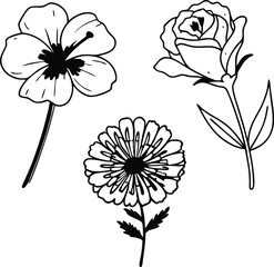Botanical Line Art, Flowers and Leaves Vector Set