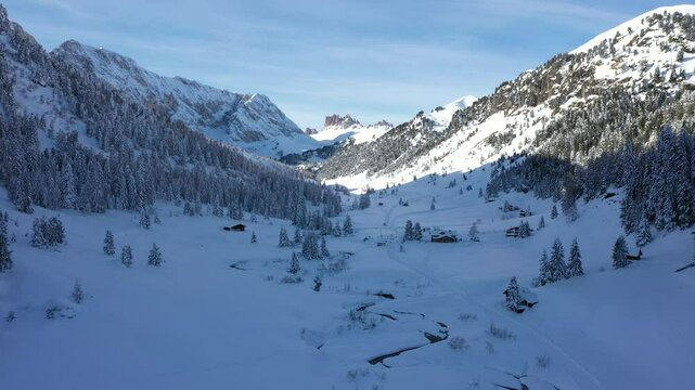 Fresh snow fall in val Duron, va di Fassa, Dolomites, Italy