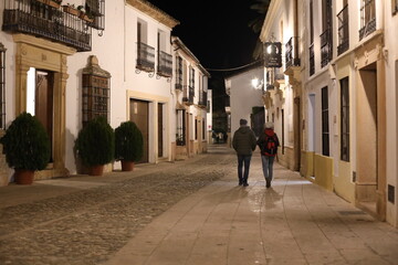 Obraz premium walking in the street. walk of the couple. man and woman at night walking