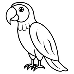 Single Line Parrot Vector Art