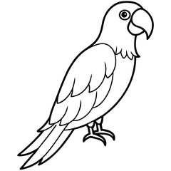 Single Line Parrot Vector Art