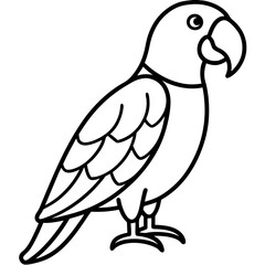 Single Line Parrot Vector Art