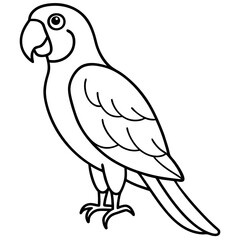 Single Line Parrot Vector Art
