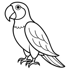 Single Line Parrot Vector Art