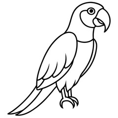 Single Line Parrot Vector Art