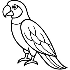 Single Line Parrot Vector Art