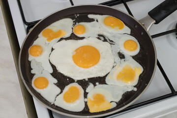 Chicken egg and 9 quail eggs in frying pan.