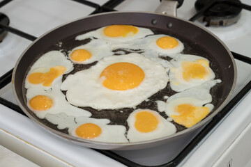 Chicken egg and 9 quail eggs in frying pan.