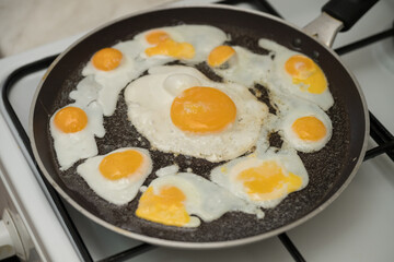 Chicken egg and 9 quail eggs in frying pan.