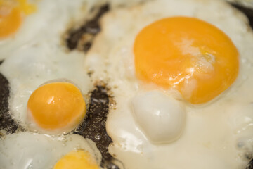 Chicken egg and 9 quail eggs in frying pan.