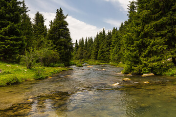 Obraz premium View of river in Tianshan Mountains in Kyrgyzstan