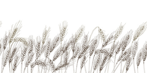 Hand drawn wheat ears seamless border © Marina Gorskaya