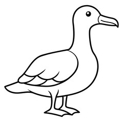 Sleek Albatross Outline in Vector Design