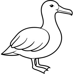 Sleek Albatross Outline in Vector Design