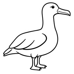 Sleek Albatross Outline in Vector Design