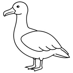 Sleek Albatross Outline in Vector Design
