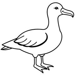Sleek Albatross Outline in Vector Design