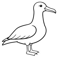 Sleek Albatross Outline in Vector Design