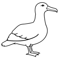 Sleek Albatross Outline in Vector Design