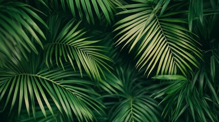 A lush green leafy plant with many leaves